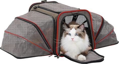 chanel cat carrier|best expandable cat carrier.